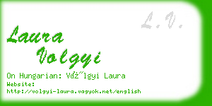 laura volgyi business card